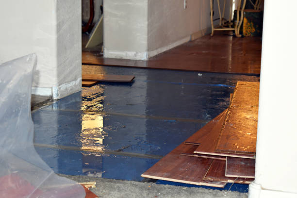 Professional Water Damage Restoration technician working in Blessing, TX